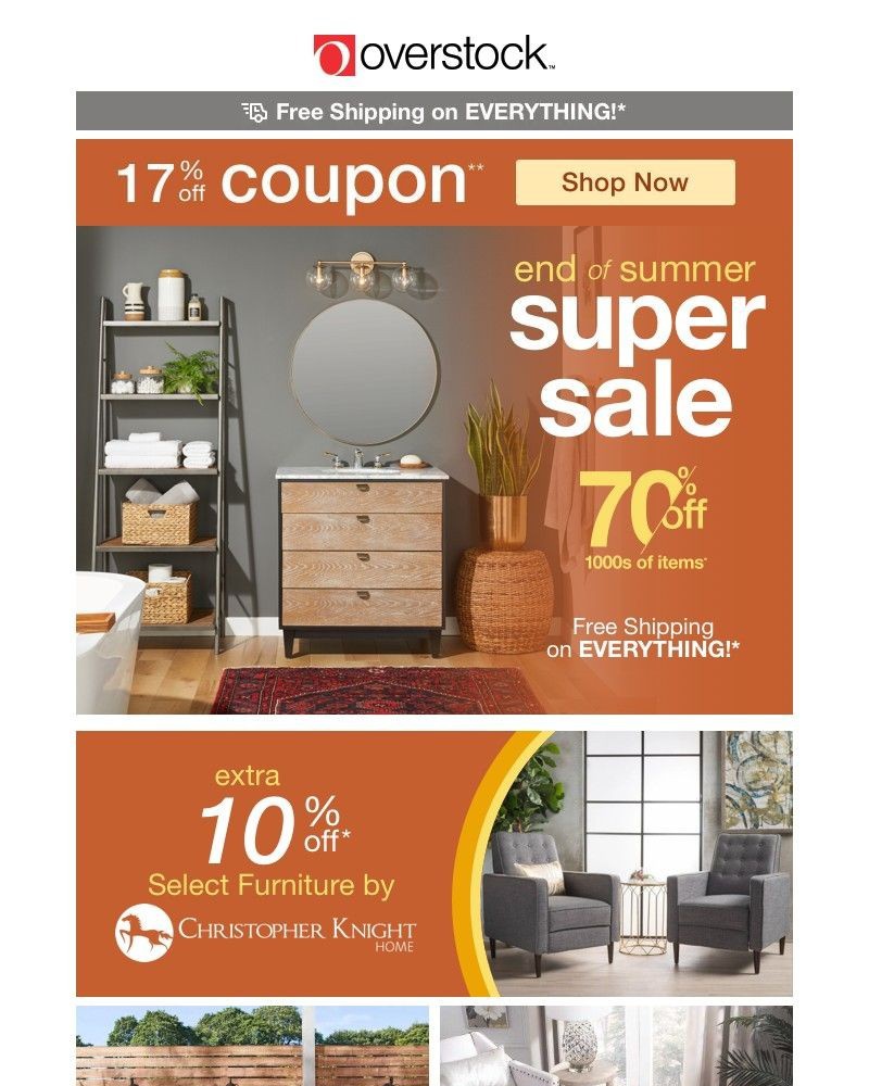 Screenshot of email with subject /media/emails/17-off-coupon-save-on-those-sunday-brunch-vibes-while-you-can-shop-now-b218a0-cro_s8LHp3z.jpg