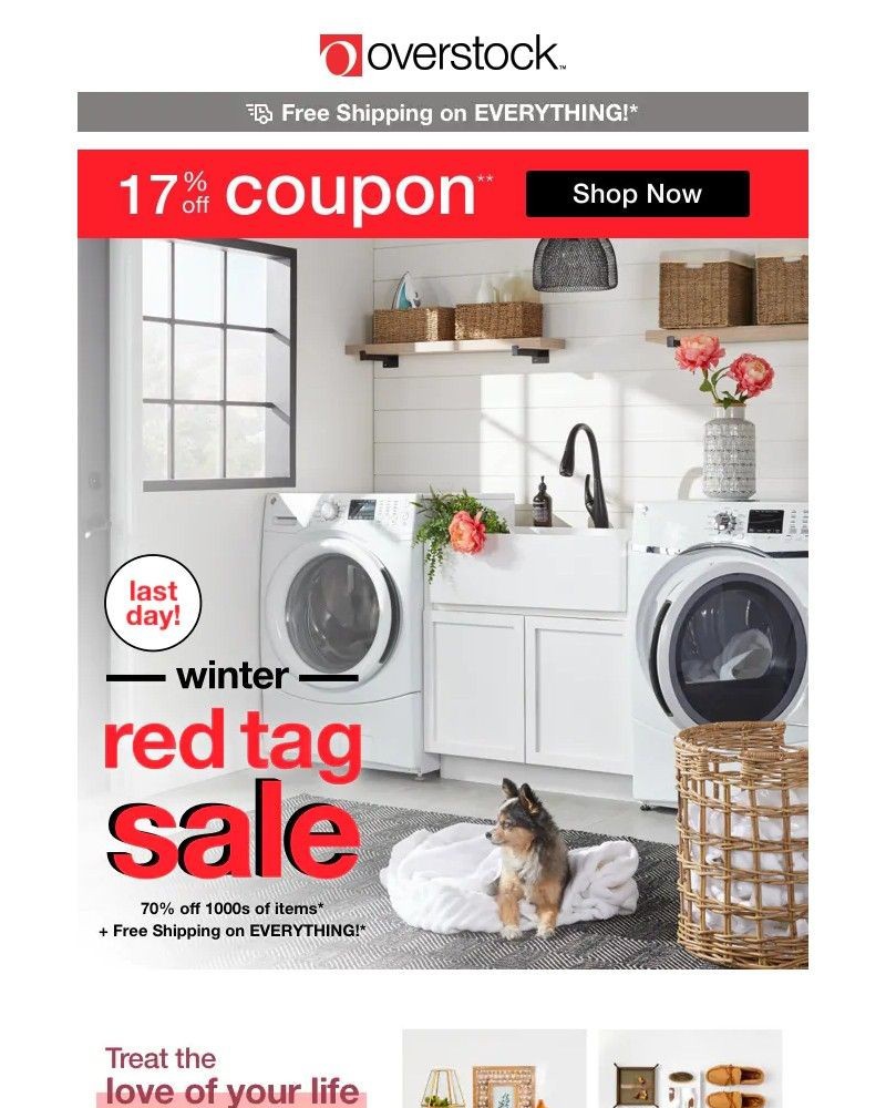 Screenshot of email with subject /media/emails/17-off-coupon-think-bright-beautiful-shop-our-best-savings-now-522c36-cropped-f641a37a.jpg