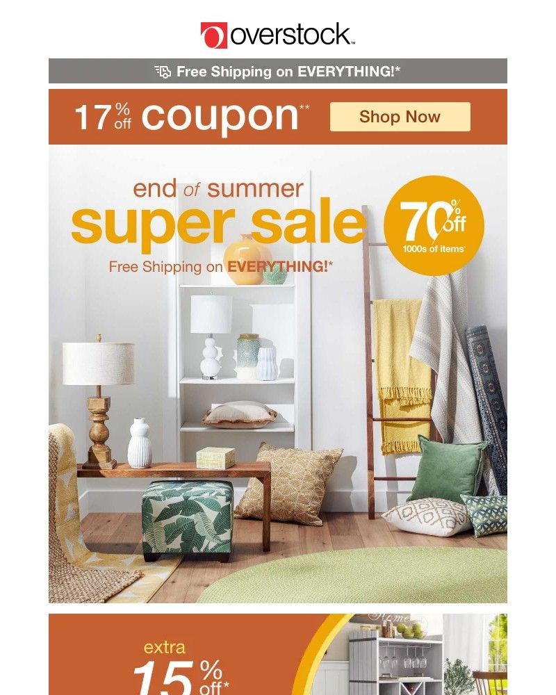 Screenshot of email with subject /media/emails/17-off-coupon-top-rated-summer-essentials-and-end-of-summer-super-sale-savings-sh_8f1dDhe.jpg