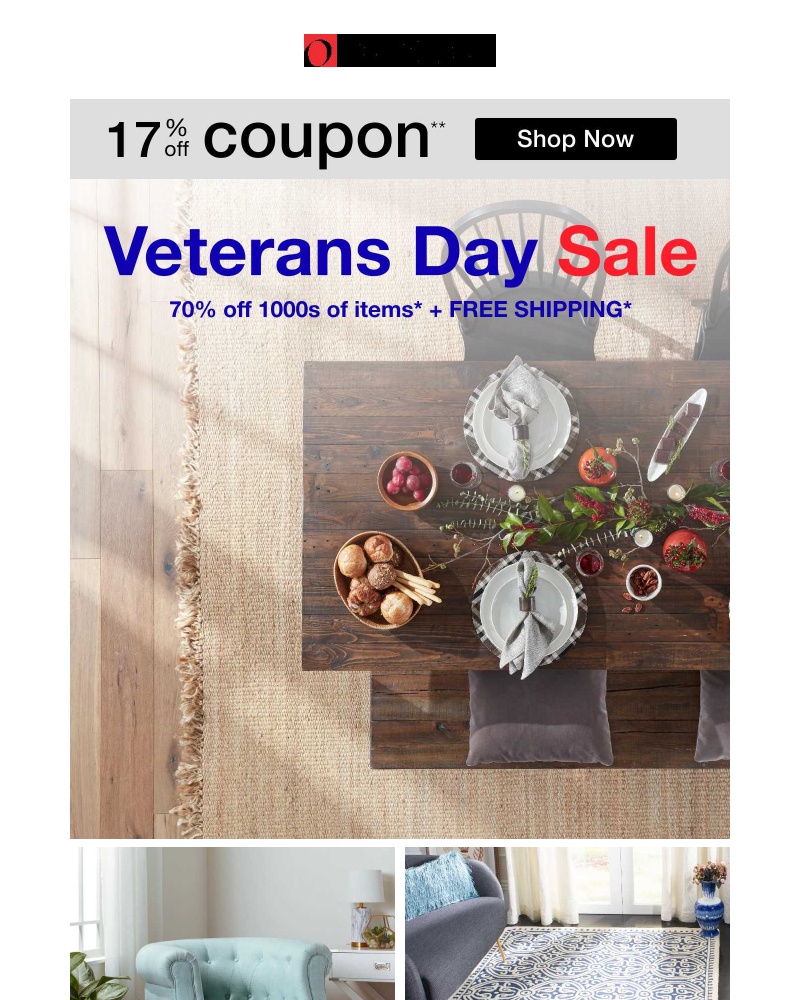 Screenshot of email with subject /media/emails/17-off-coupon-veterans-day-sale-last-chance-to-shop-cropped-3802edcf.jpg