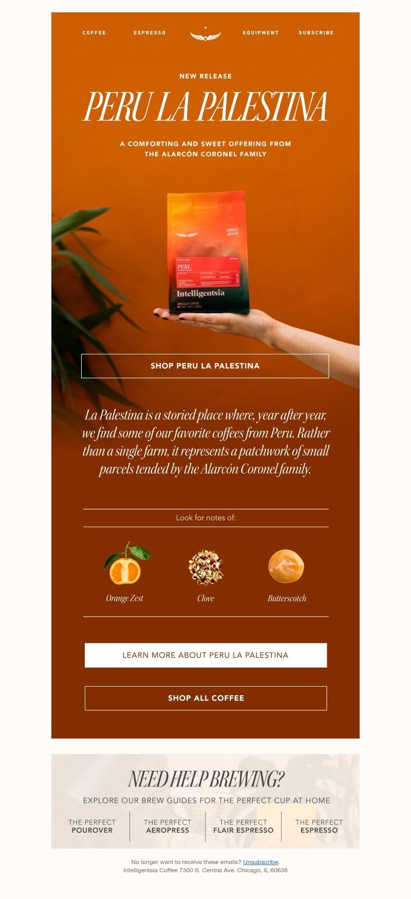 Screenshot of email with subject /media/emails/175a8d9b-23b8-4b59-97f0-4eeef2fd09f6.jpg