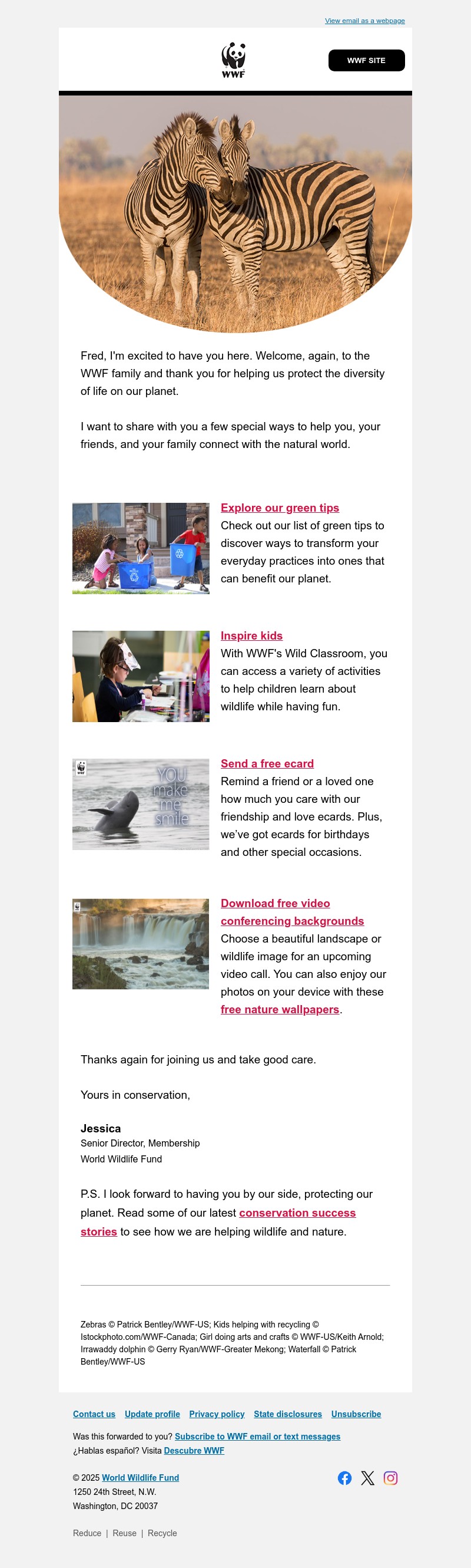 Screenshot of email with subject /media/emails/18e049db-8737-41da-8dd2-b62eab458f65.jpg