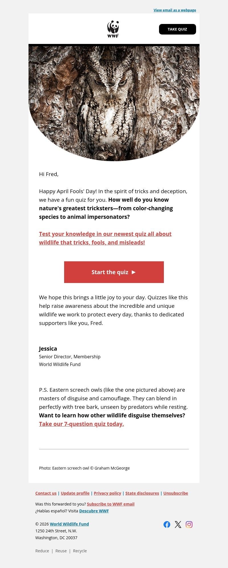 Screenshot of email with subject /media/emails/1901c8d7-a6df-4537-960e-564367dc4422.jpg