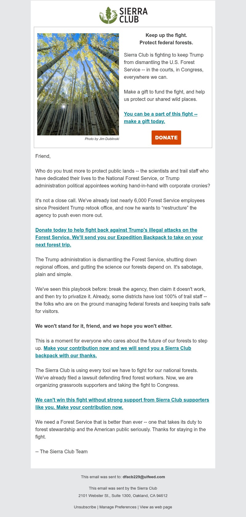 Screenshot of email with subject /media/emails/191c76ed-b4ed-477b-b3aa-132aa280c5dd.jpg