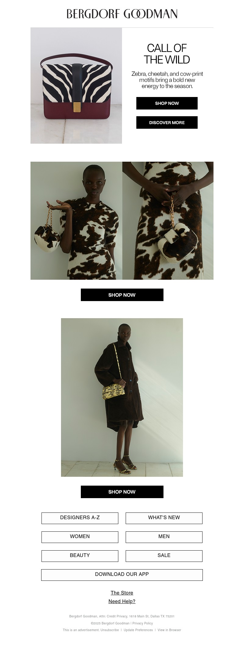 Screenshot of email with subject /media/emails/19338dfd-5757-48dc-ad6a-773d64ab3f0a.jpg