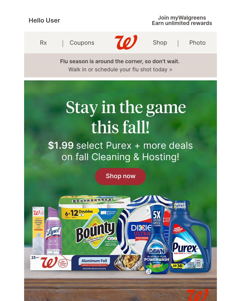 Screenshot of email with subject /media/emails/199-purex-savings-on-fall-hosting-must-haves-0efccd-cropped-b961e852.jpg