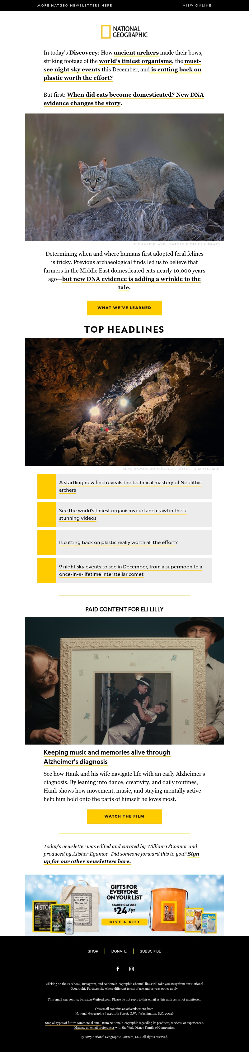 Screenshot of email with subject /media/emails/19eb6336-f774-4a9d-a6dd-b94fc5b4319c.jpg