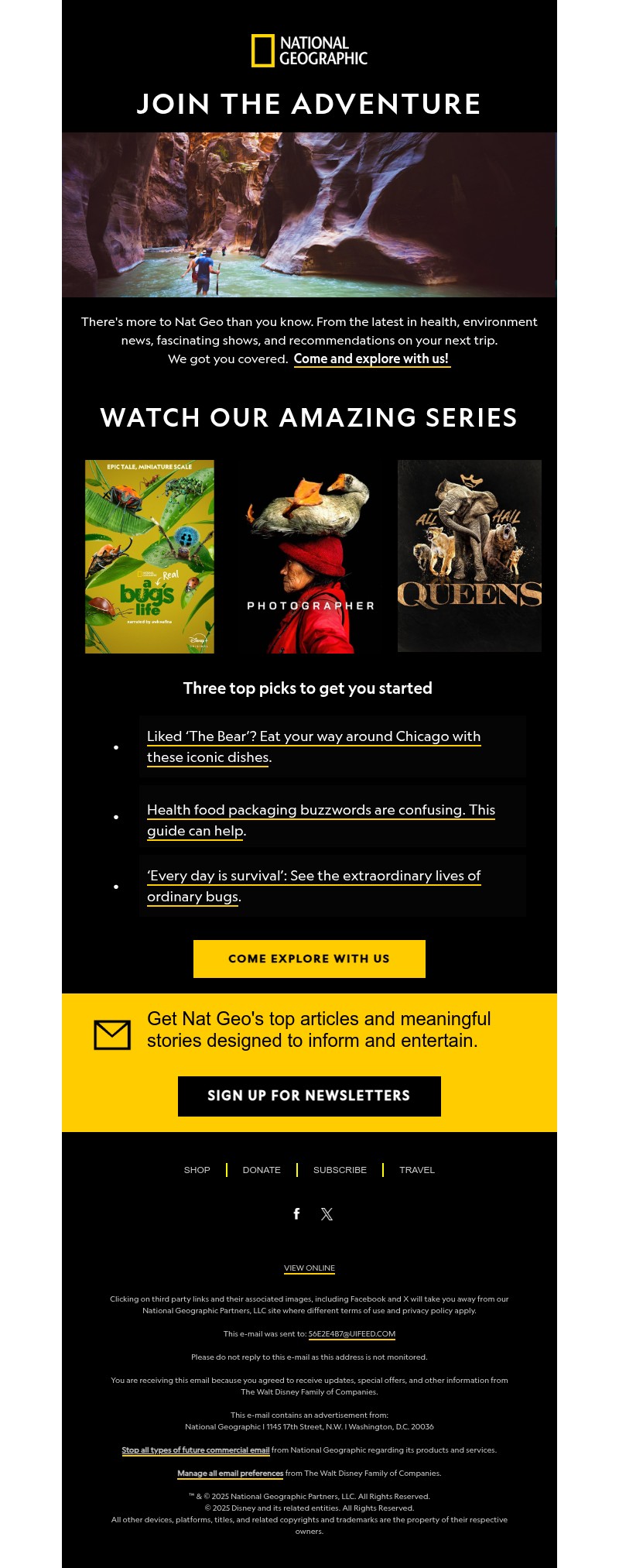 Screenshot of email with subject /media/emails/1a14b6e4-338c-4bfb-8939-beb759d961f8.jpg