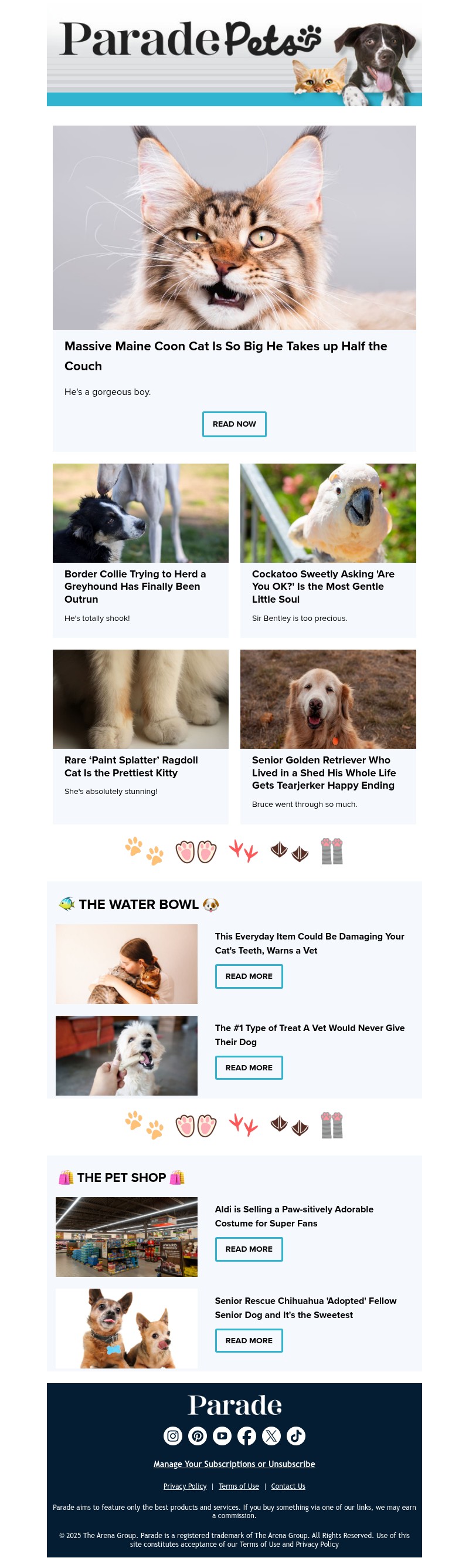 Screenshot of email with subject /media/emails/1acb7958-d214-4e67-802b-e9e72a19367b.jpg