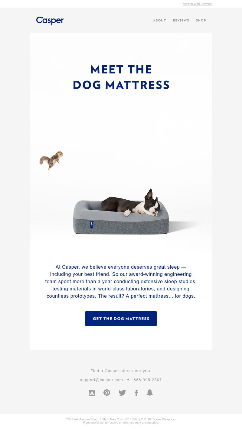 Screenshot of email with subject /media/emails/1bd494f8-6b66-4c6a-9101-3b5e5ce3e712.png