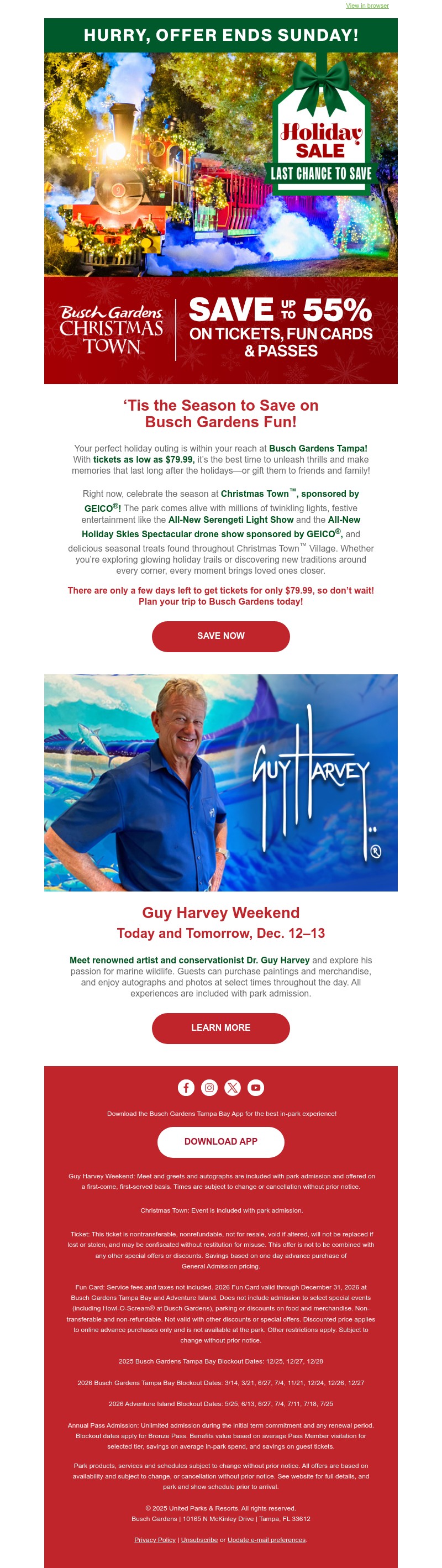 Screenshot of email with subject /media/emails/1cd2a827-030f-4853-b01f-5bc2677bef9e.jpg