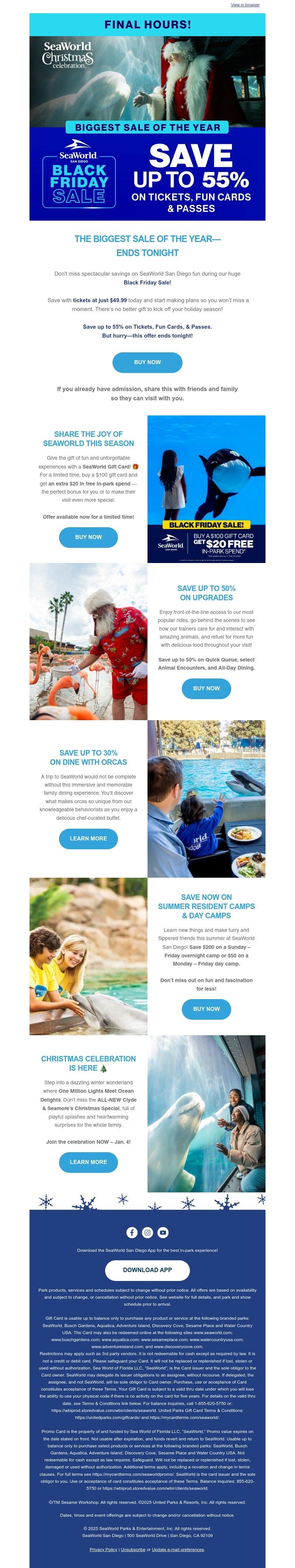 Screenshot of email with subject /media/emails/1d2d5c76-84e2-4b1a-9fdc-08396904abb5.jpg