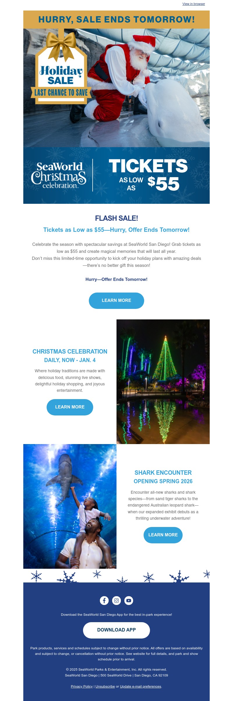 Screenshot of email with subject /media/emails/1dbba6c3-7e96-4b3a-962d-bfe176027ec9.jpg