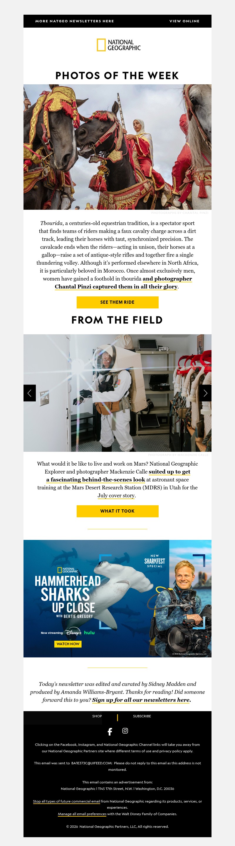 Screenshot of email with subject /media/emails/1e256cce-3d2f-480c-9ee8-0e97b40a171d.jpg