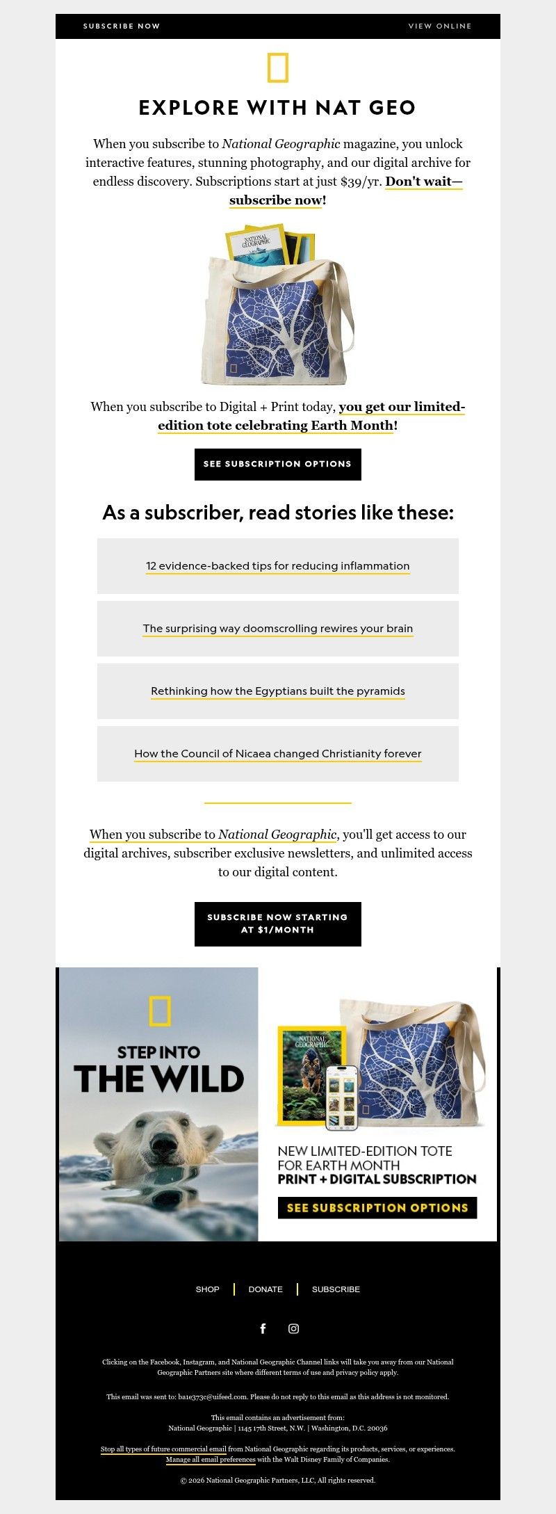 Screenshot of email with subject /media/emails/1e3e98bc-be9b-45a7-a409-9f6a9e183df5.jpg