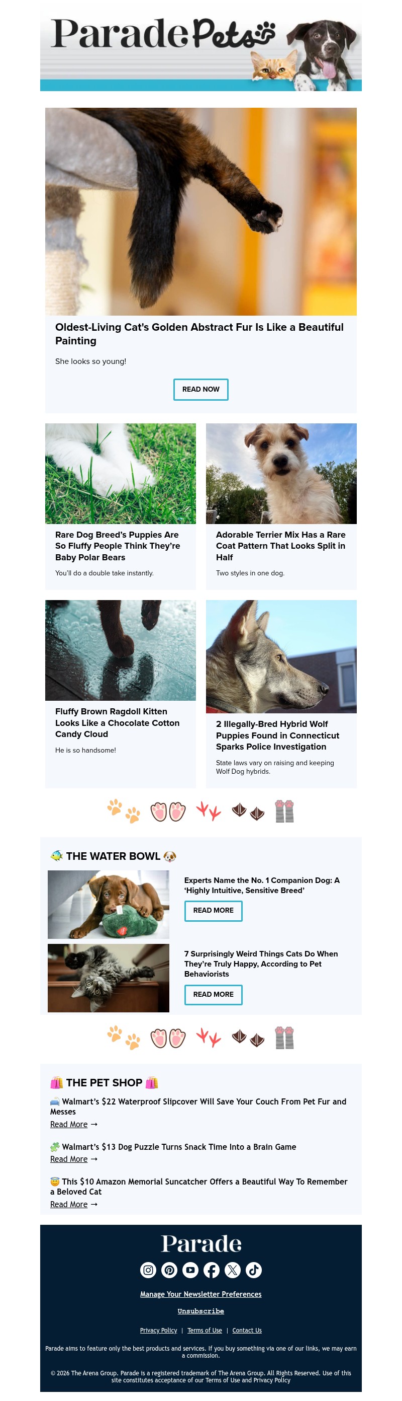 Screenshot of email with subject /media/emails/1ed260ab-1809-4582-a8a4-4bf06c8f1aec.jpg