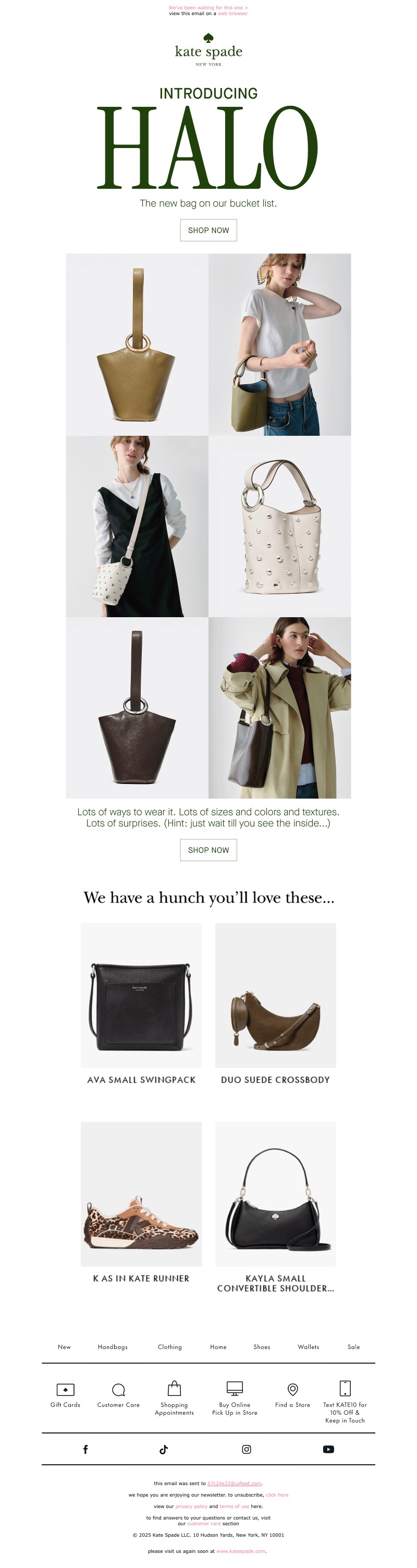 Screenshot of email with subject /media/emails/1f40d923-f7a7-4e1a-94d4-4a90d35f3830.jpg