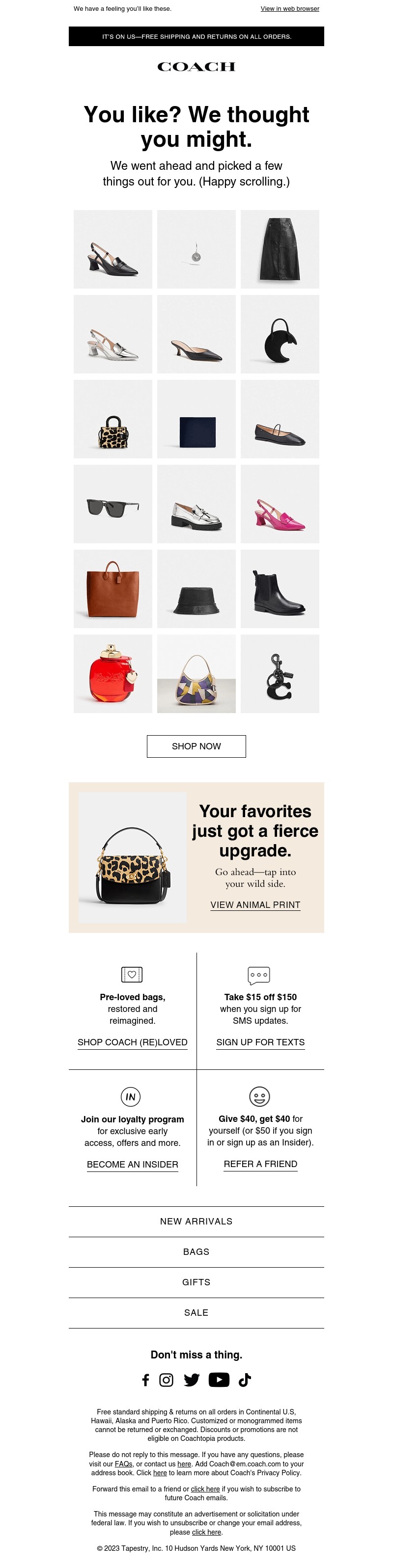 Screenshot of email with subject /media/emails/1f41528e-eb9b-4bae-959b-b6465139ee9d.jpg