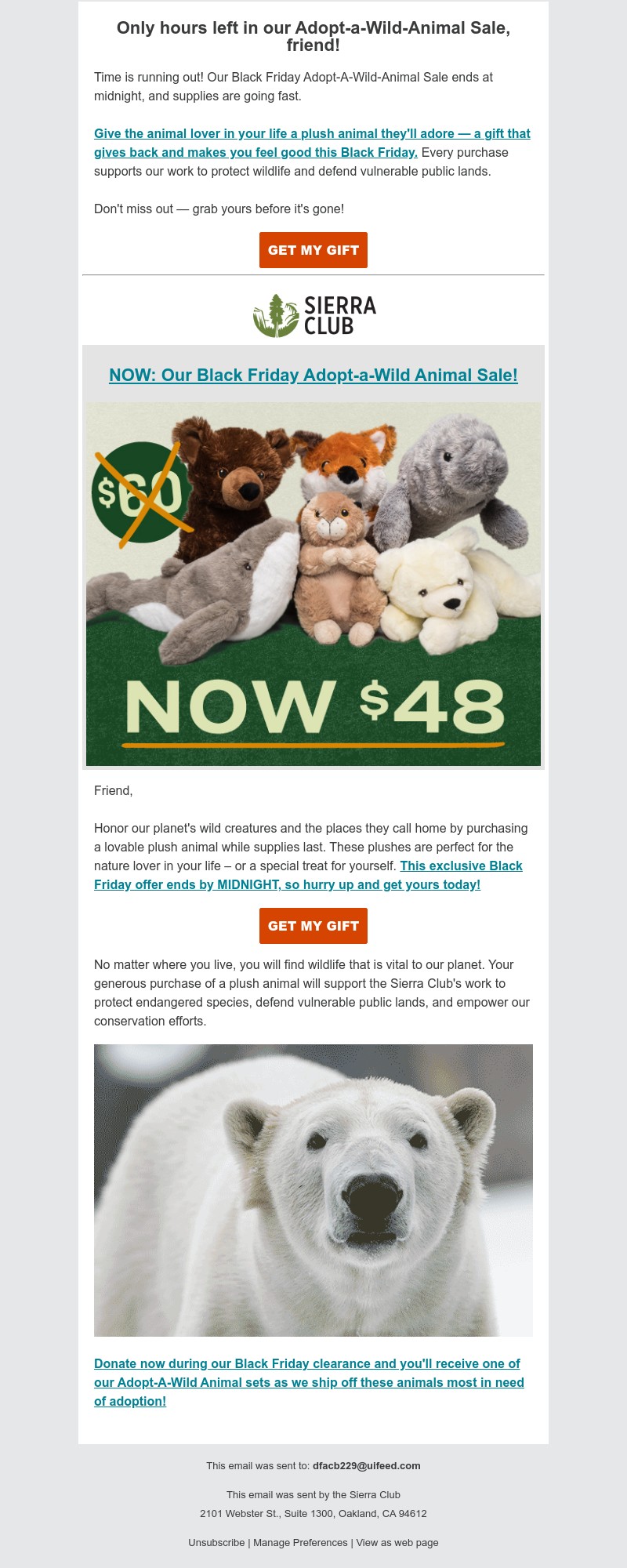 Screenshot of email with subject /media/emails/1fb7e28e-40d7-48dc-ae0b-d00035a8e7e2.jpg