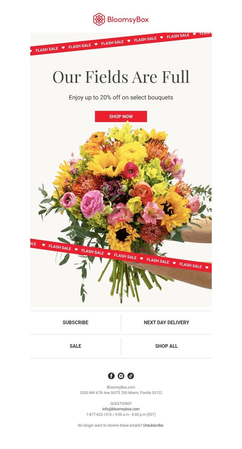 Screenshot of email with subject /media/emails/1ffae9f9-6e0f-4dbb-909a-c91cb39a661a.jpg