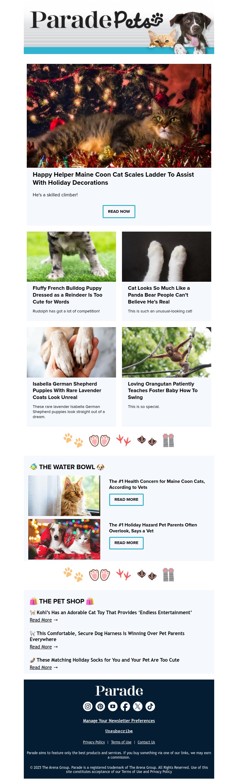 Screenshot of email with subject /media/emails/1fff0129-077e-42ac-a918-242a1c783863.jpg