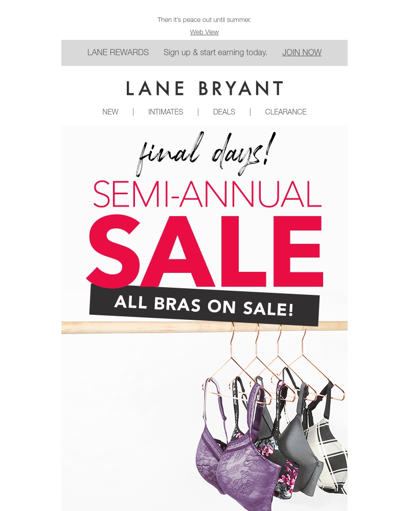 Screenshot of email with subject /media/emails/2-days-left-for-semi-annual-sale-cropped-22b58892.jpg