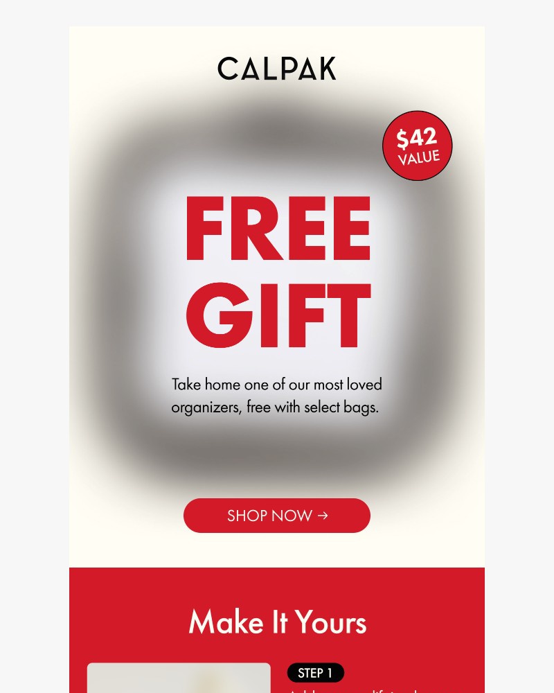 Screenshot of email sent to a Calpak Newsletter subscriber