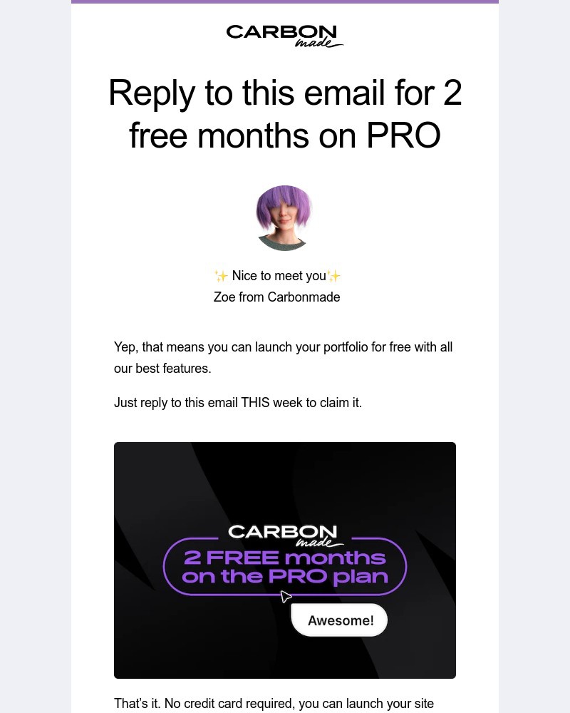 Screenshot of email sent to a Carbonmade Trial user