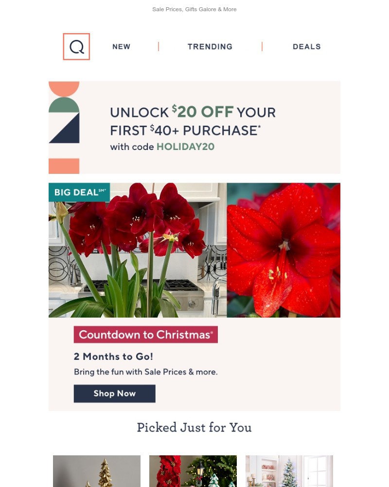 Screenshot of email with subject /media/emails/2-months-to-go-get-our-best-deals-60efa1-cropped-0d499cab.jpg