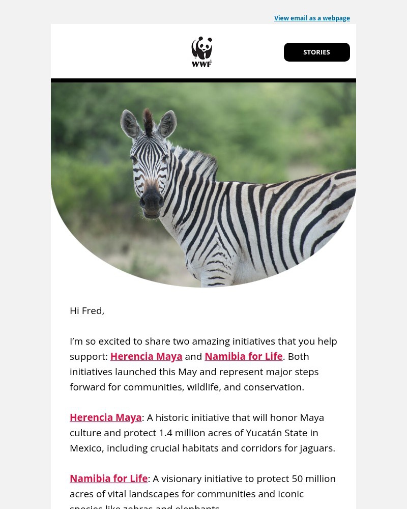 Screenshot of email sent to a World Wildlife Fund Newsletter subscriber