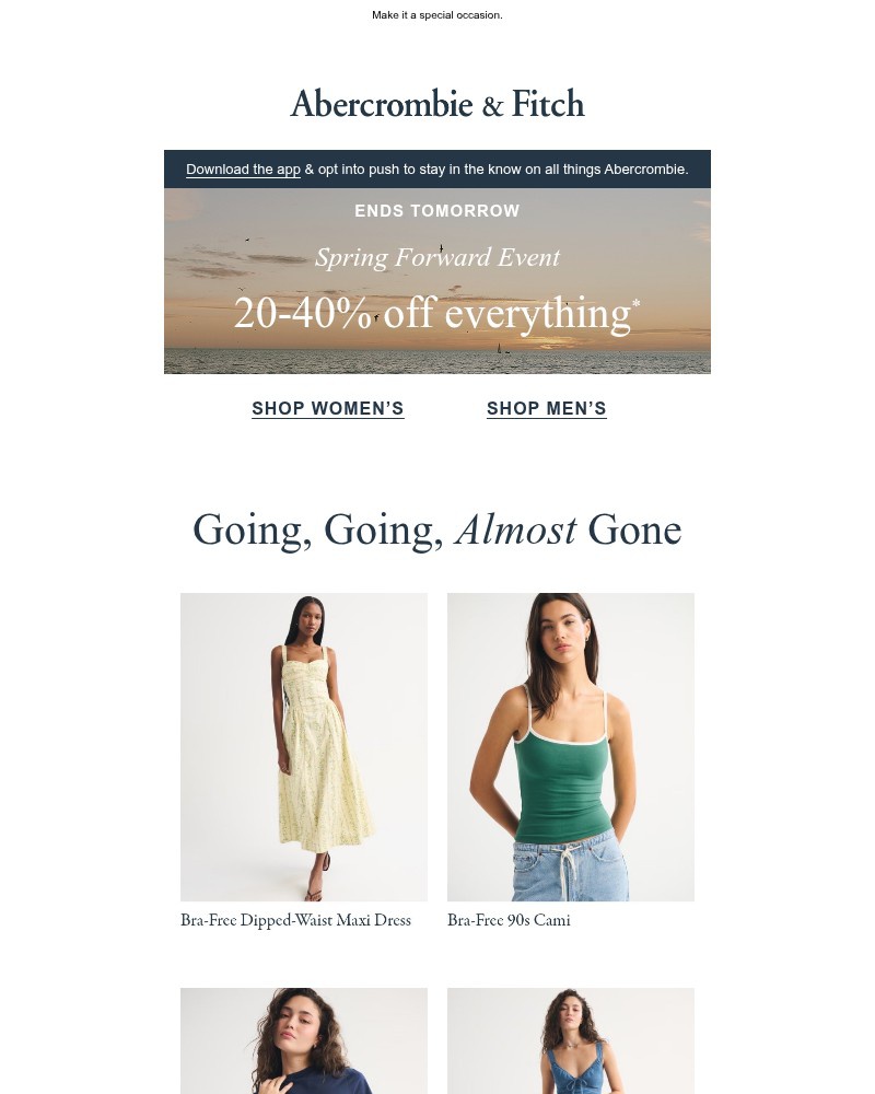 Screenshot of email sent to a Abercrombie Newsletter subscriber