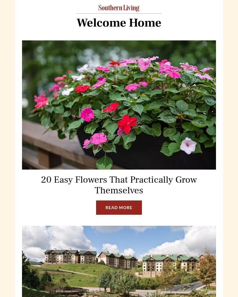 Screenshot of email with subject /media/emails/20-easy-flowers-that-practically-grow-themselves-13617a-cropped-9d8ac9d0.jpg