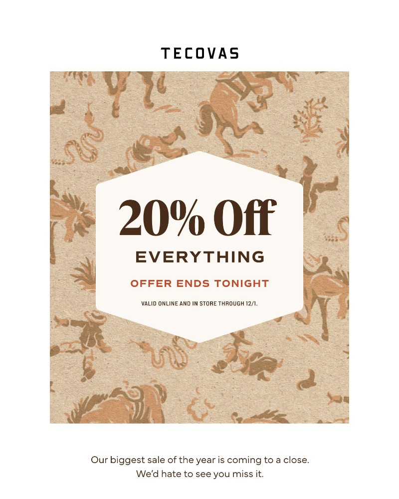 Screenshot of email with subject /media/emails/20-everything-for-cyber-monday-0cb648-cropped-d0dc3c2b.jpg