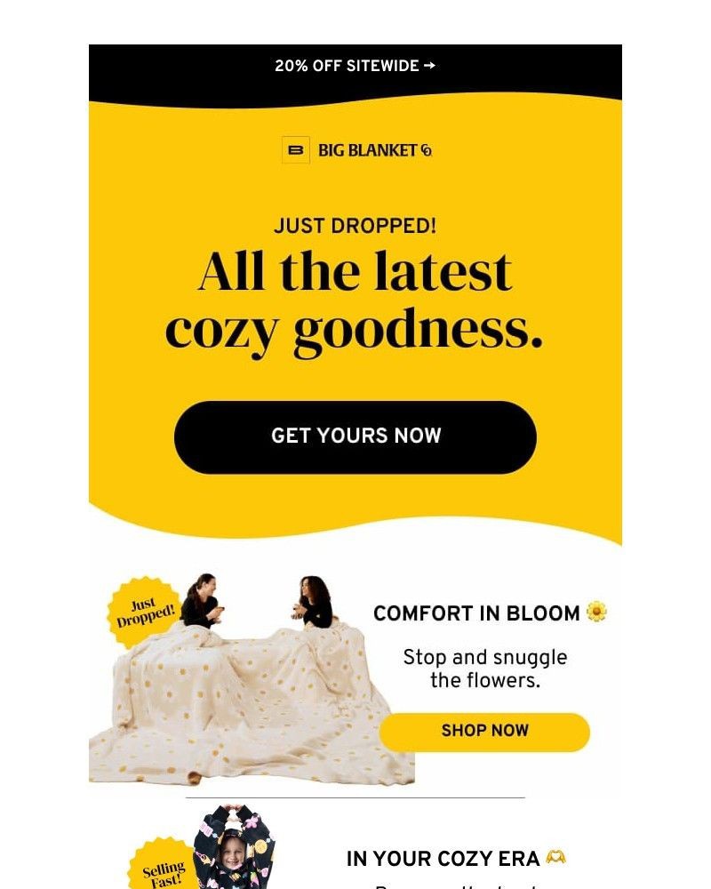 Screenshot of email sent to a Big Blanket Co. Newsletter subscriber