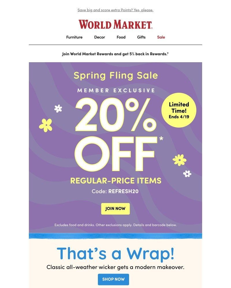 Screenshot of email sent to a World Market Cart abandoner