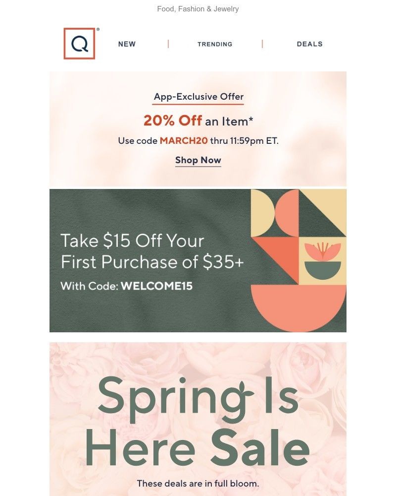 Screenshot of email with subject /media/emails/20-off-an-item-inside-more-deals-9bc5e1-cropped-67a704b8.jpg