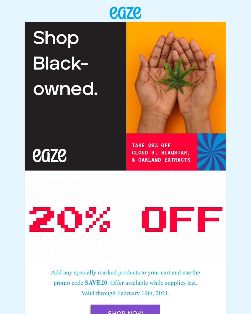 Screenshot of email with subject /media/emails/20-off-black-owned-friday-brands-9a3558-cropped-d2c1f668.jpg