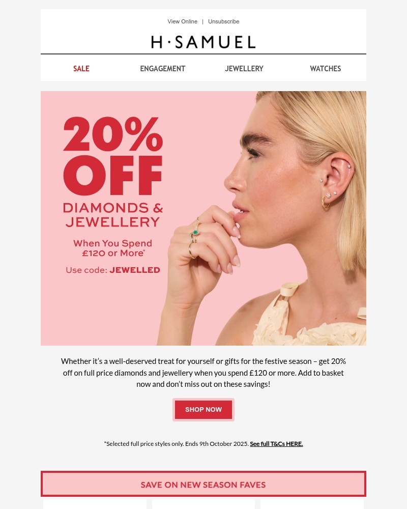 Screenshot of email with subject /media/emails/20-off-dont-miss-the-savings-631bd3-cropped-ab2bc7af.jpg