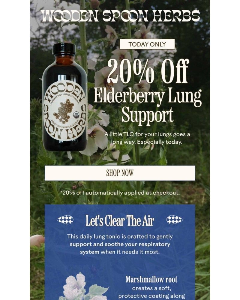 Screenshot of email with subject /media/emails/20-off-elderberry-lung-support-19a8e1-cropped-5444d5c8.jpg