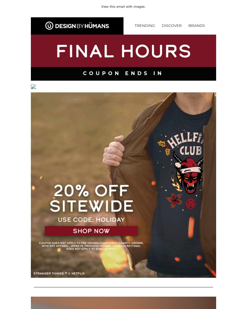 Screenshot of email with subject /media/emails/20-off-ending-soon-37d76d-cropped-10cde3fd.jpg