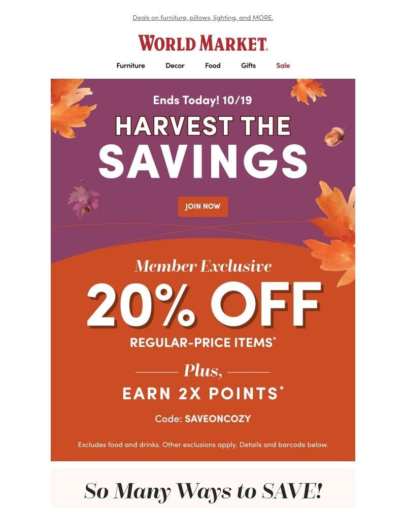 Screenshot of email with subject /media/emails/20-off-ends-in-a-few-hours-dca7cf-cropped-10e49219.jpg