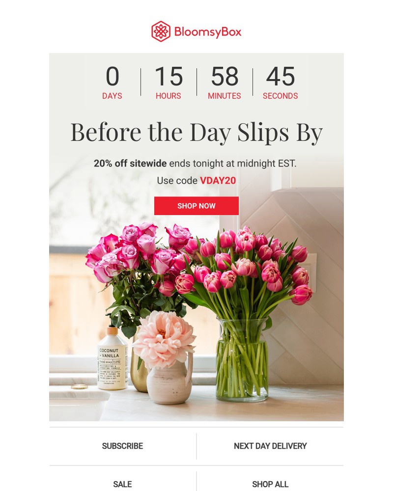 Screenshot of email sent to a Chococurb Newsletter subscriber