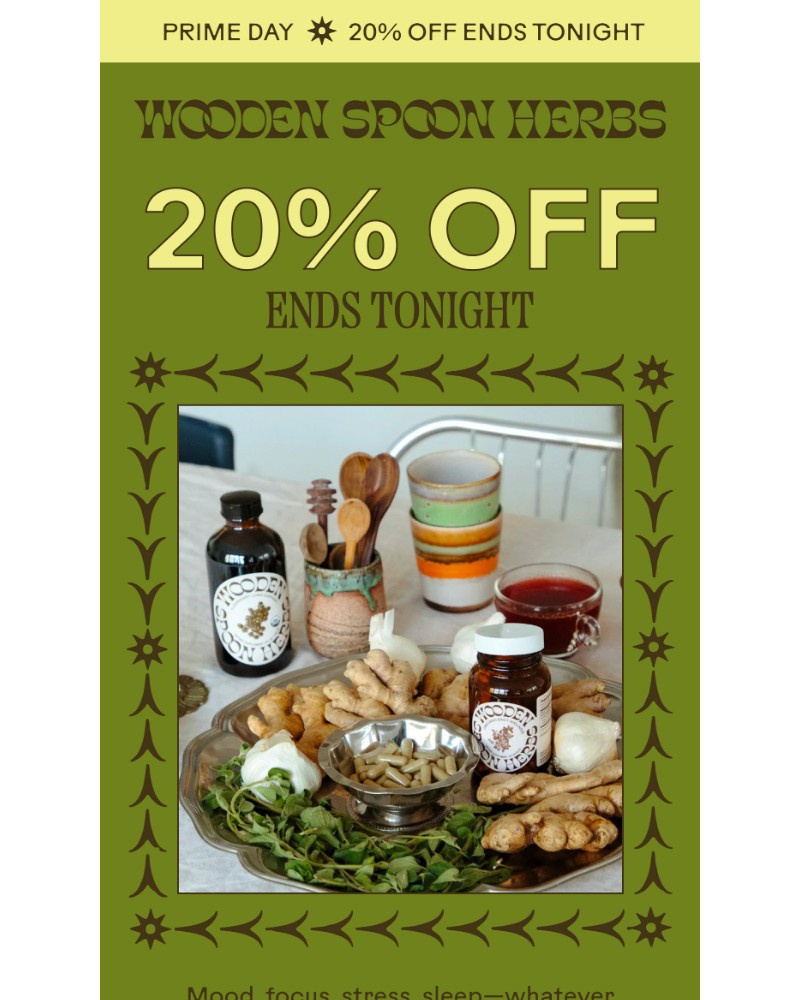 Screenshot of email with subject /media/emails/20-off-ends-tonight-yes-tonight-9dfd71-cropped-6d1c6944.jpg