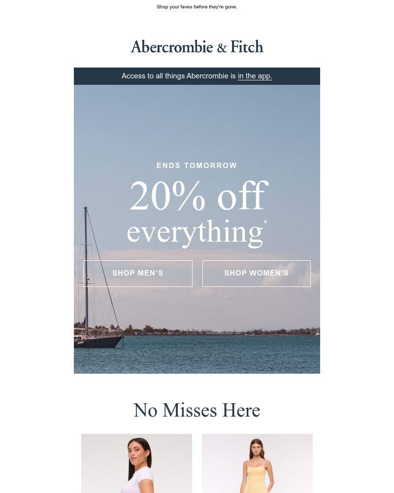 Screenshot of email with subject /media/emails/20-off-everthing-ends-soon-632514-cropped-ffea1236.jpg