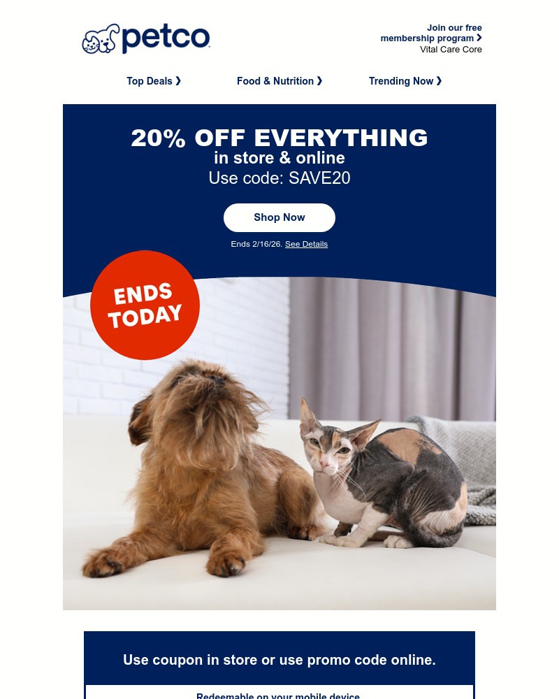 Screenshot of email with subject /media/emails/20-off-everything-ends-today-d2d2a8-cropped-25dab364.jpg