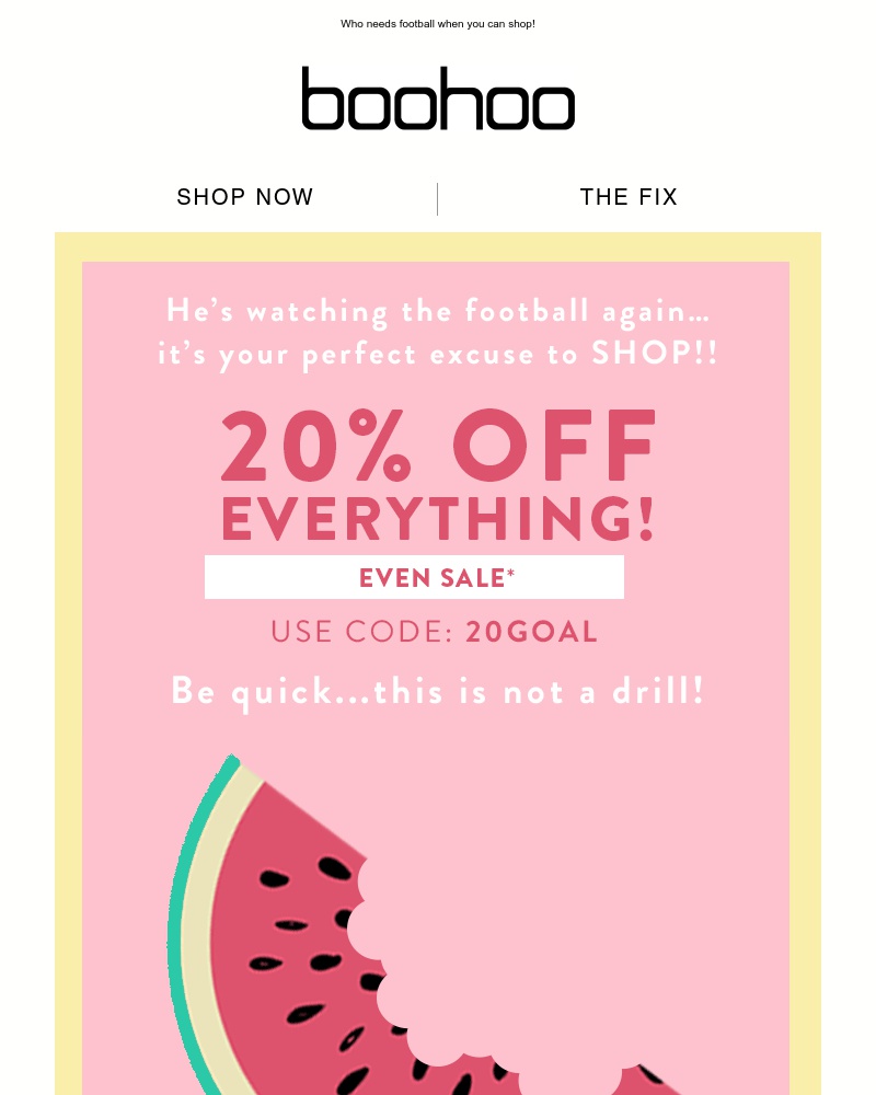 Screenshot of email with subject /media/emails/20-off-everything-even-sale-cropped-0164c66f.jpg
