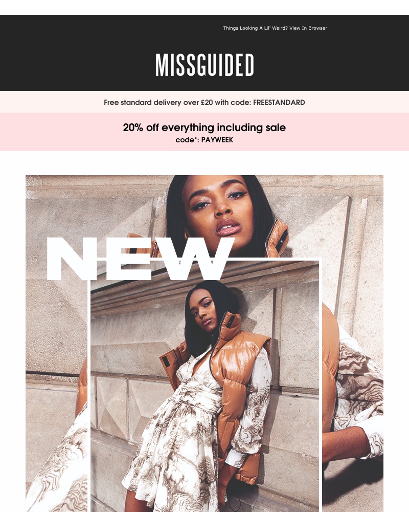 Screenshot of email with subject /media/emails/20-off-everything-including-sale-cropped-3dafeb2b.jpg