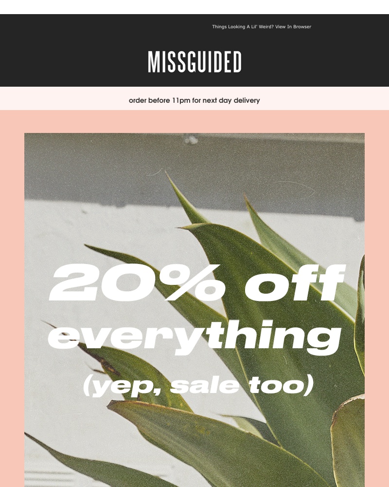 Screenshot of email with subject /media/emails/20-off-everything-yep-sale-too-cropped-2ae476ef.jpg