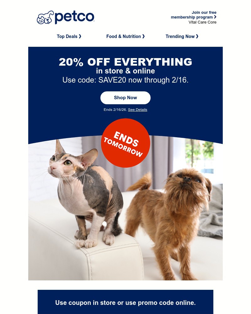 Screenshot of email with subject /media/emails/20-off-everything-you-heard-that-right-0caba8-cropped-f9e5483e.jpg