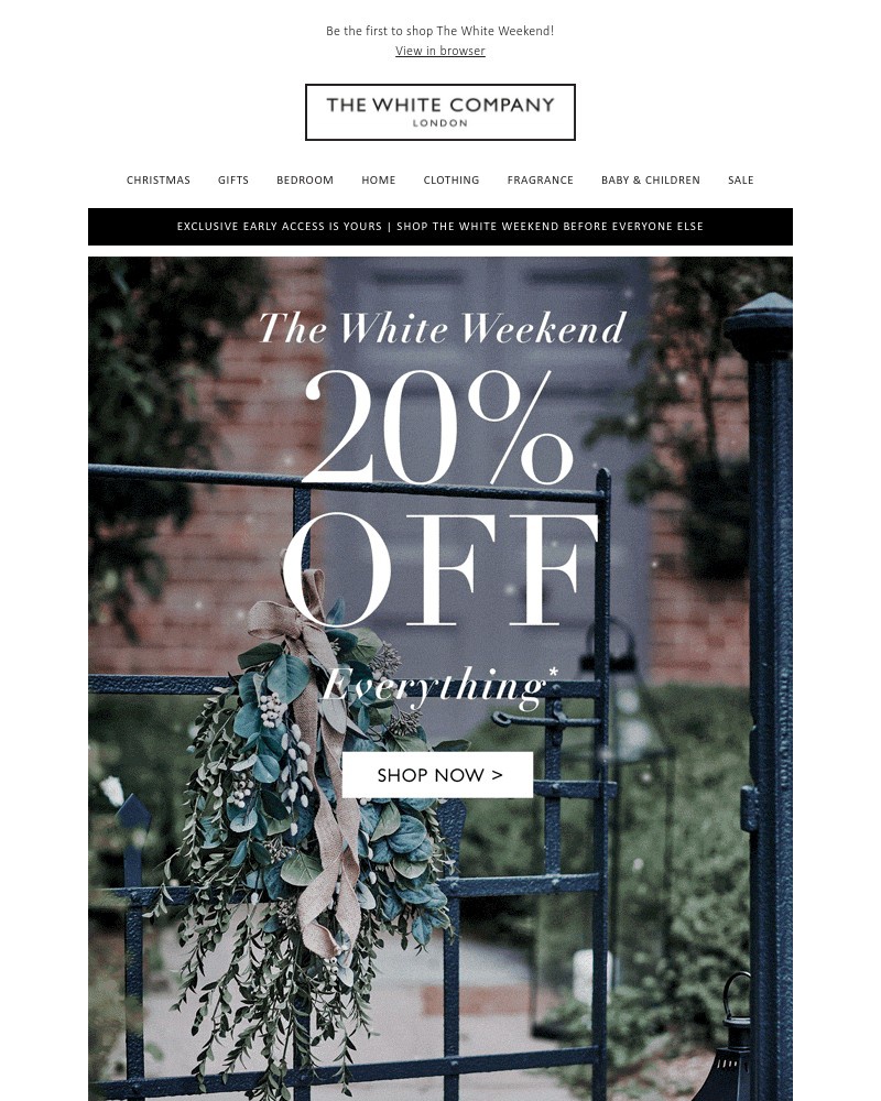 Screenshot of email with subject /media/emails/20-off-everything-your-exclusive-early-access-2c0430-cropped-63e3c509.jpg